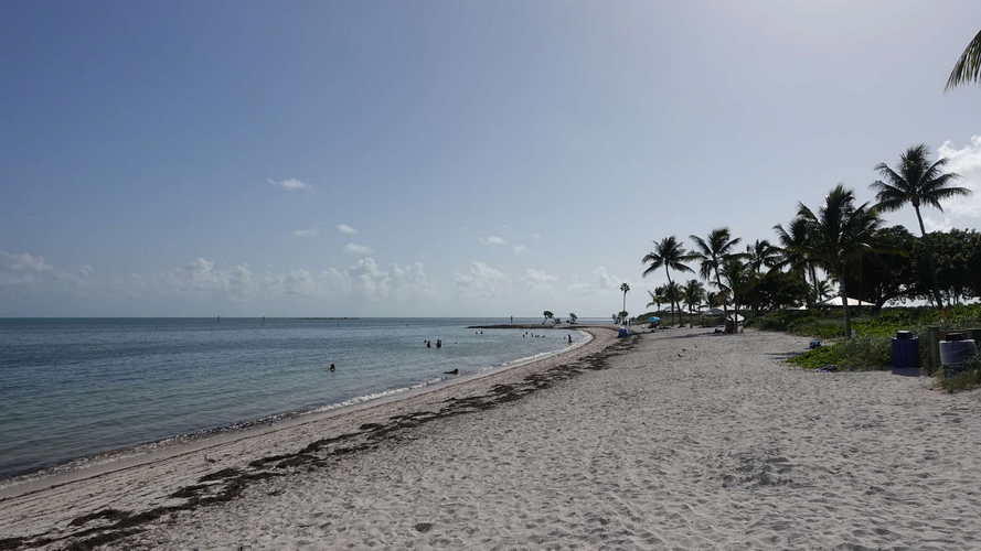 MIA_2023-08-14 17-02-29_RX_06115